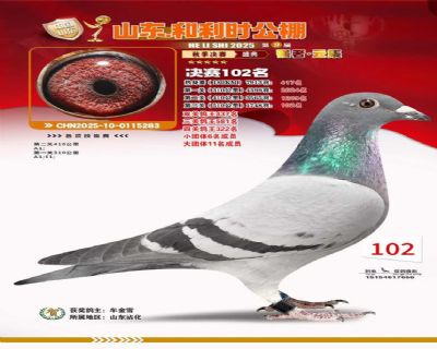 ����ʱ����102��