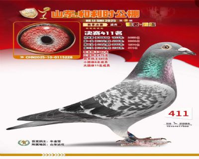 ����ʱ����411���ٰ�ʨ����