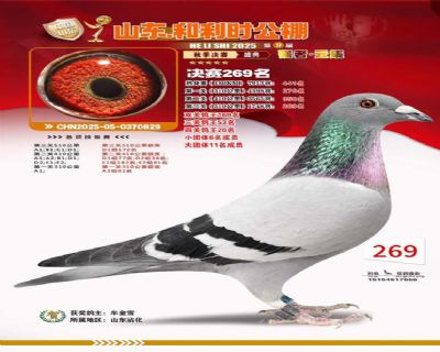 ����ʱ�Ĺظ���20������269��