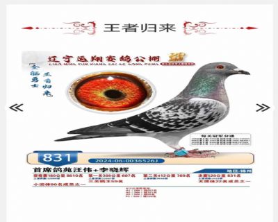 �������831������Ԥ��ʮ�������Ӵ�