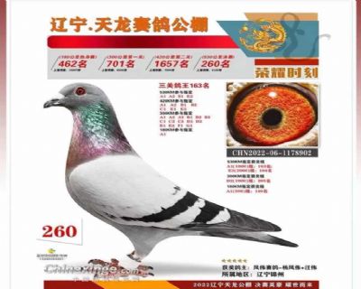 ��������260������Ԥ��ʮ�������Ӵ�