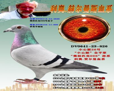 ���¡��¹�ԭ��