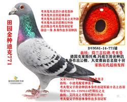 ���׽��ֵϿ�771