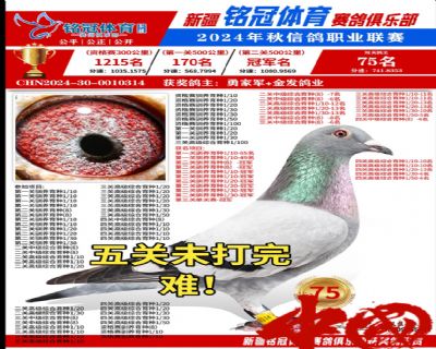 ����(j��)��ĸ