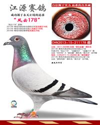 ĸ�ף�����178