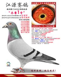 ���ף���³1��