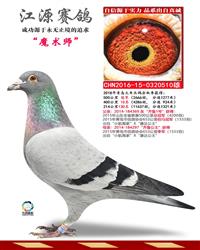 ���游��ħ��ʦ