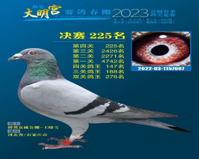 ������225