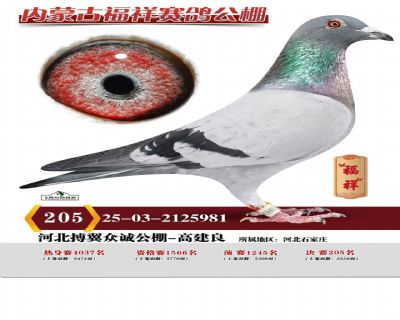 ��̩�����205