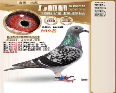 �����5�ظ���