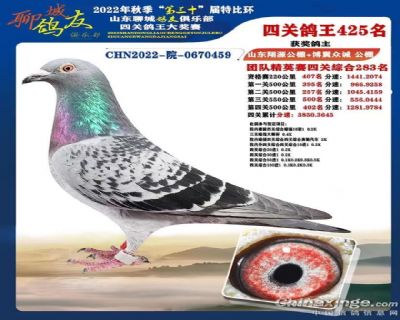 �ĳǸ��Ѿ��ֲ�425