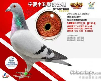 ����230��