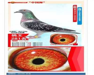 �Ĵ�����281