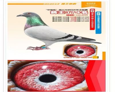 �Ĵ�����374