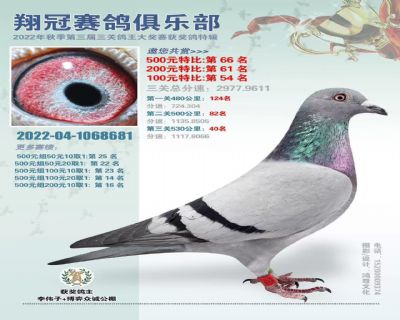 ��ڸ���681