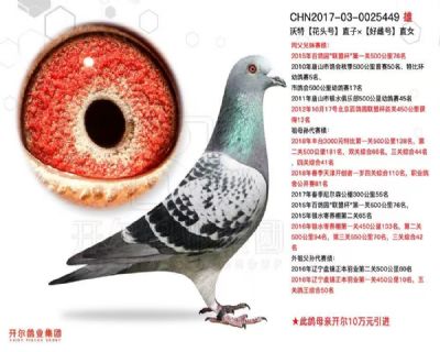 �ǱȻƽ����