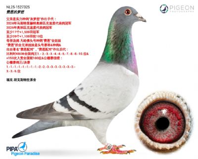 �Ѷ�������