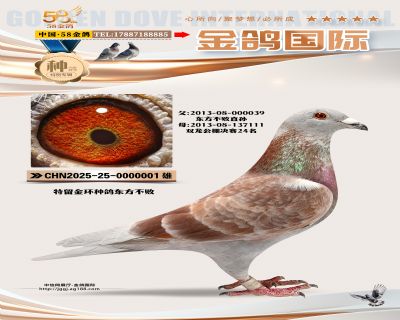 ����������������ֱ��