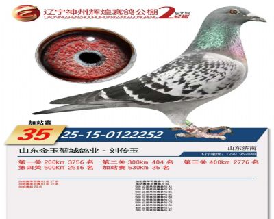 �����ݹ���35��