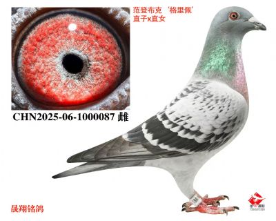 �������塱ֱ��xֱŮ