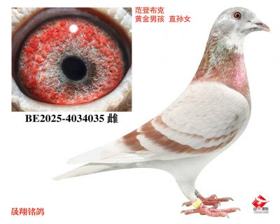 ���ƽ��Њ���ֱ��Ů