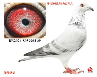 ���û�998��X�����ˡ���Ů