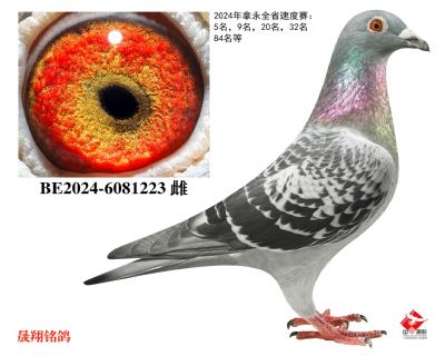 ����ȫʡ�ٶ���.5��,9����