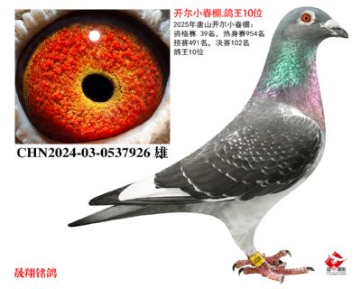 ����С����.����10λ