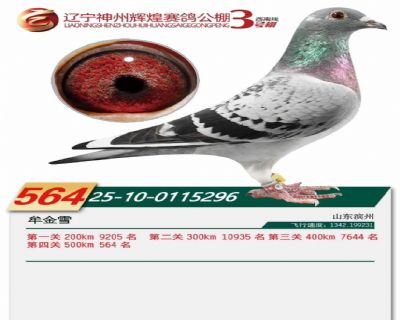 ��������564��ʨ������ ʨ��������Ů