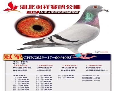 �����ھ�