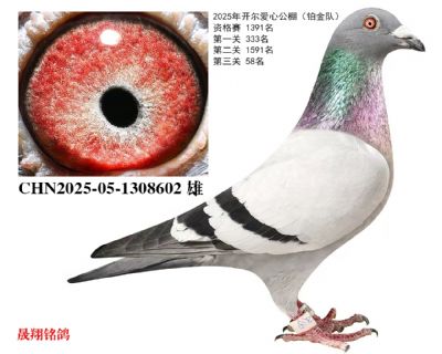 ����������.����58��