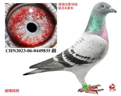 �򸣾���10��.����4λ.ֱŮ