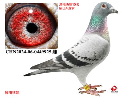 �򸣾���10��.����4λ.ֱŮ