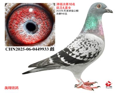 �򸣾���10��.����4λ.ֱŮ