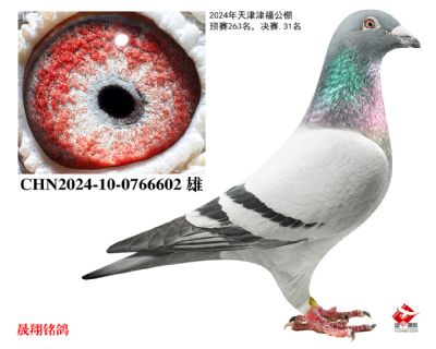 �򸣹���.����31��