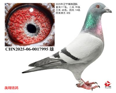 ���������8λ��