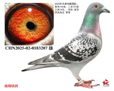 ����������.������