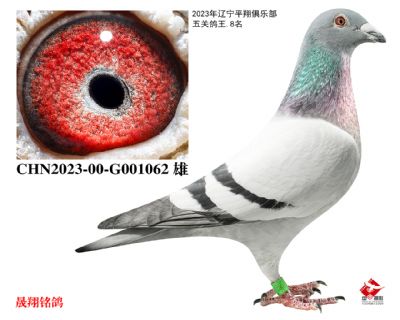 ��ƽ�����8λ��