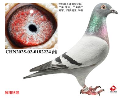 ������.���ظ���.�ھ���