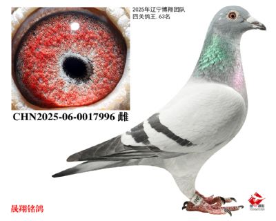 ���������63λ��