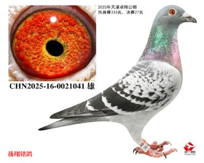 ��׿�蹫��.����27����