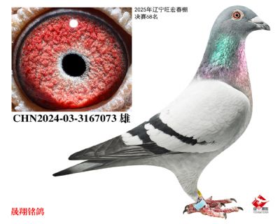 �����괺��.����68����