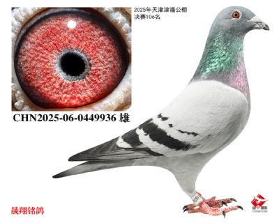 ���򸣹���.����102����