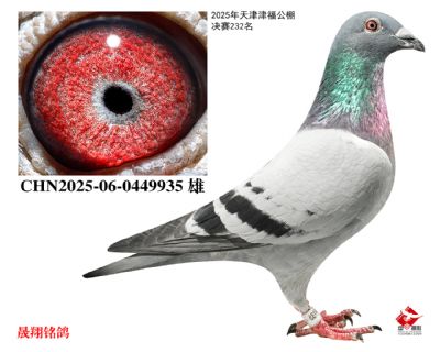 ���򸣹���.����232����