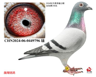 �򸣹����ս