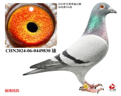 �򸣹����ս