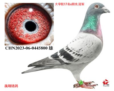 ����ھ�.ֱ��