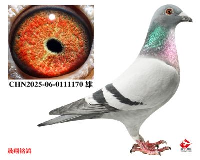 ���ɾ�x��������