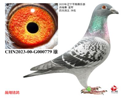 ƽ�����38λ