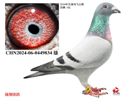 ��ɹ���Ԥ��.6��